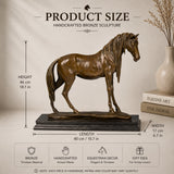 Elegant standing horse bronze statue with lifelike detail. A timeless symbol of grace, calm strength, and refined beauty.