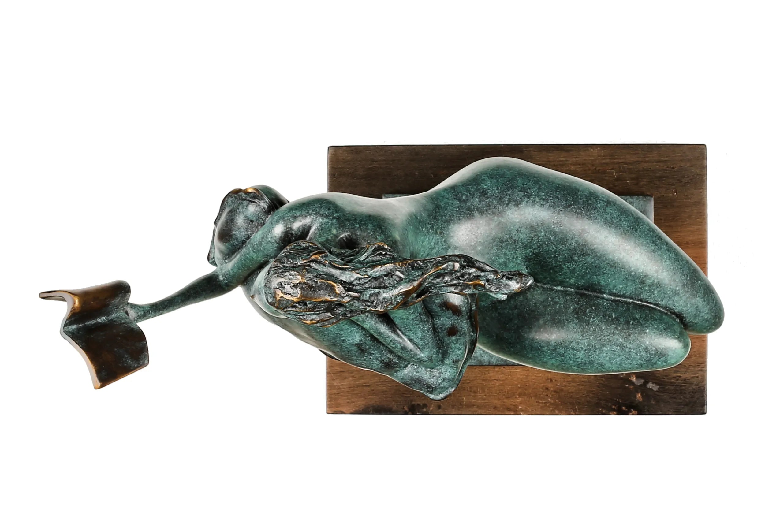Top view of the abstract reading woman bronze sculpture showing her reclining pose, open book, and wooden base