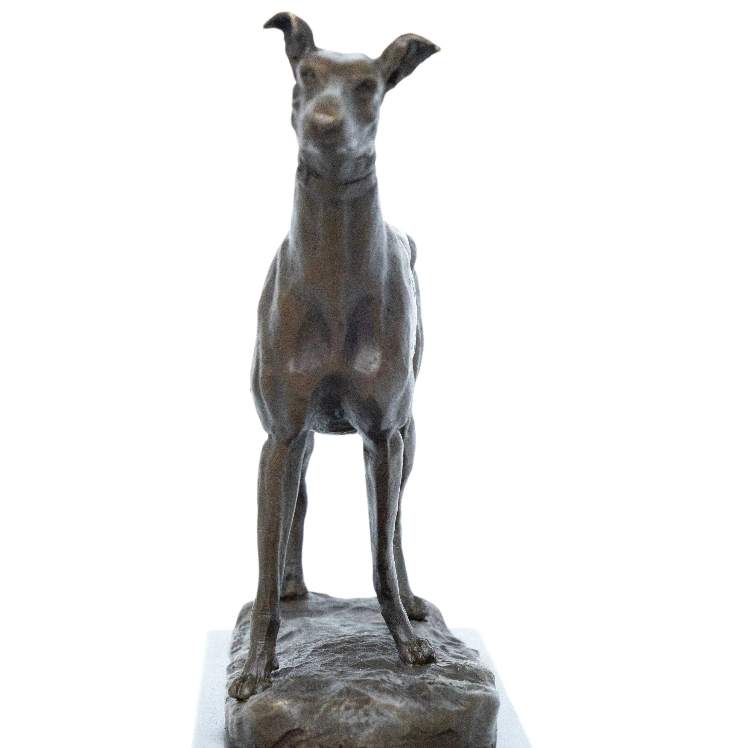 Close-up of bronze sighthound sculpture showing alert ears collar facial features and athletic body