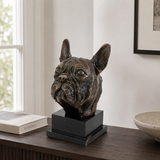 French Bulldog Bust Bronze Sculpture displayed in a styled interior