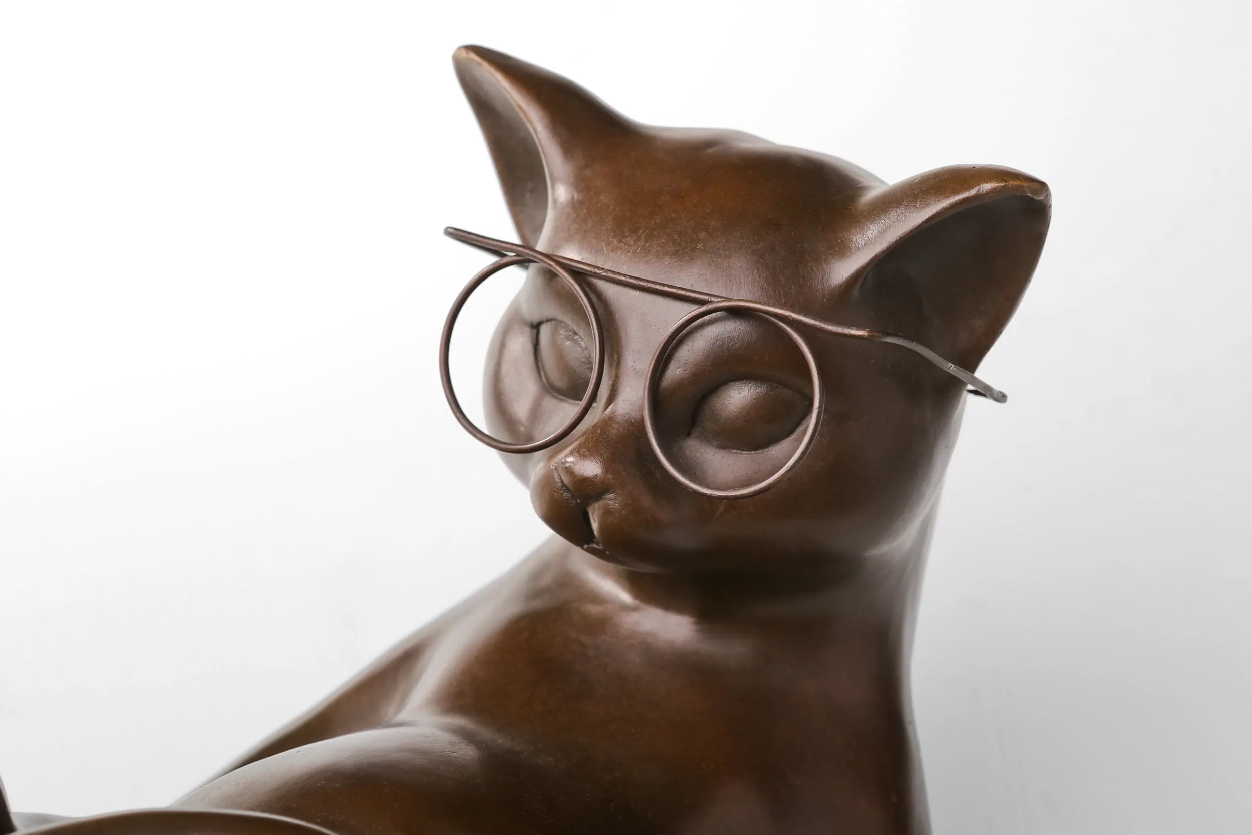 Close-up of round glasses on the reading cat bronze sculpture