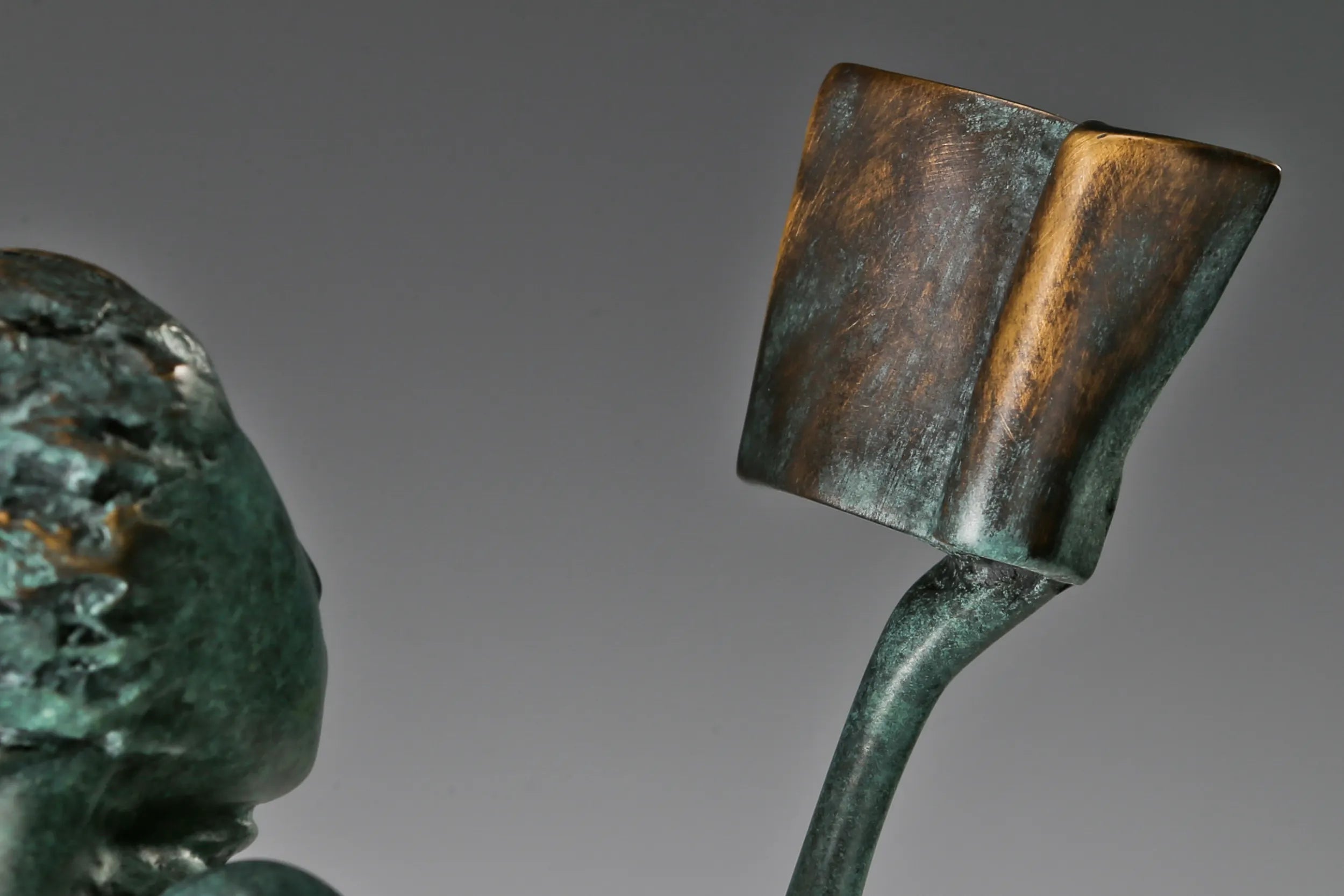 Close-up of the small open book held in the raised hand of the bronze reading woman