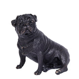 Seated Pug Bronze Sculpture on a clean white background
