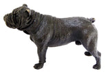 Standing French Bulldog Bronze Sculpture front view