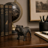 Standing French Bulldog Bronze Sculpture displayed in a styled interior