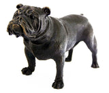 Standing French Bulldog Bronze Sculpture three-quarter view