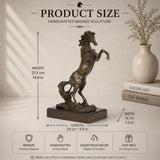 Detailed rearing bronze horse sculpture with raised front legs and flowing mane, realistic stallion sculpture  on black marble base, loss wax casting fine art.