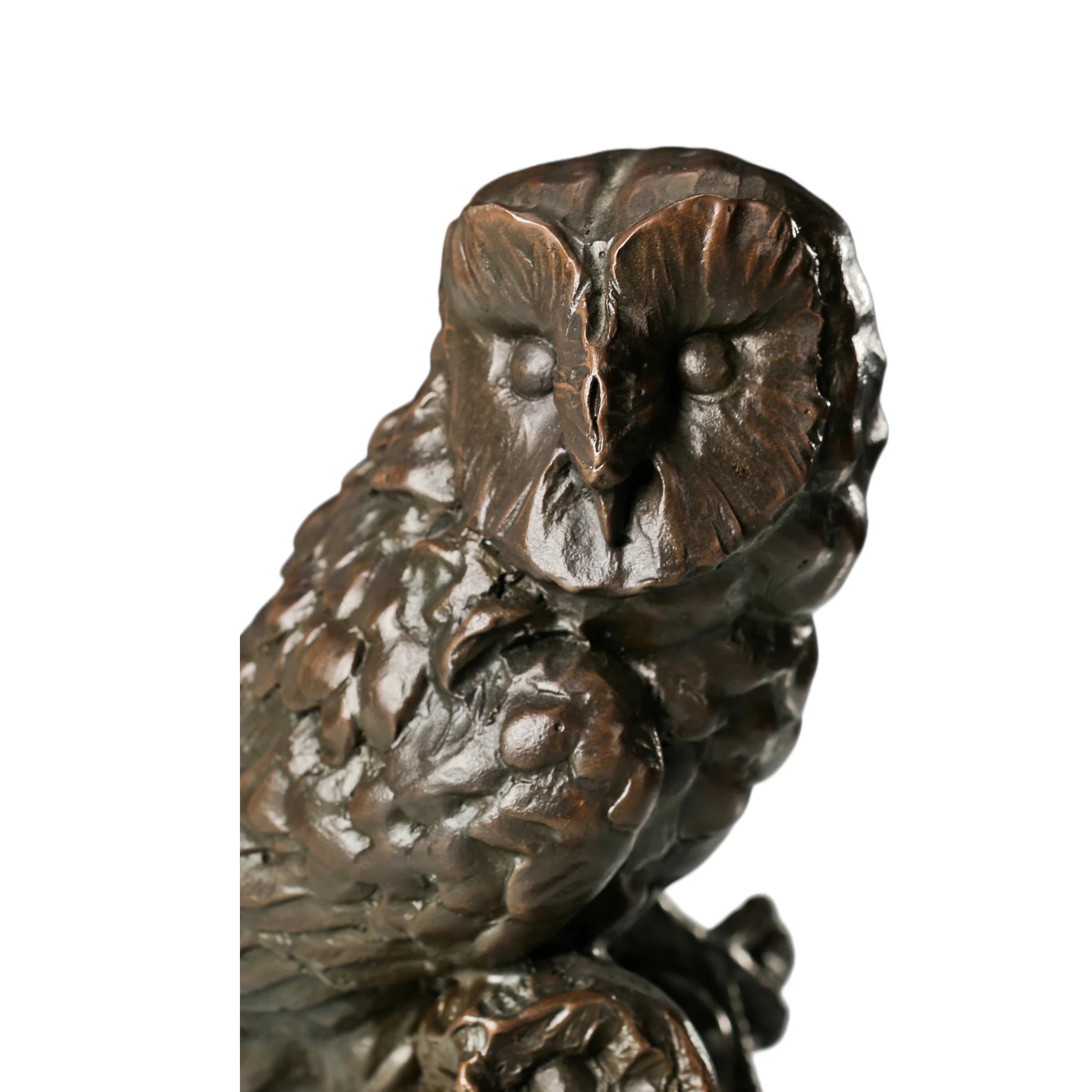 Close-up of mother owl showing expressive face, eyes, and finely sculpted feathers