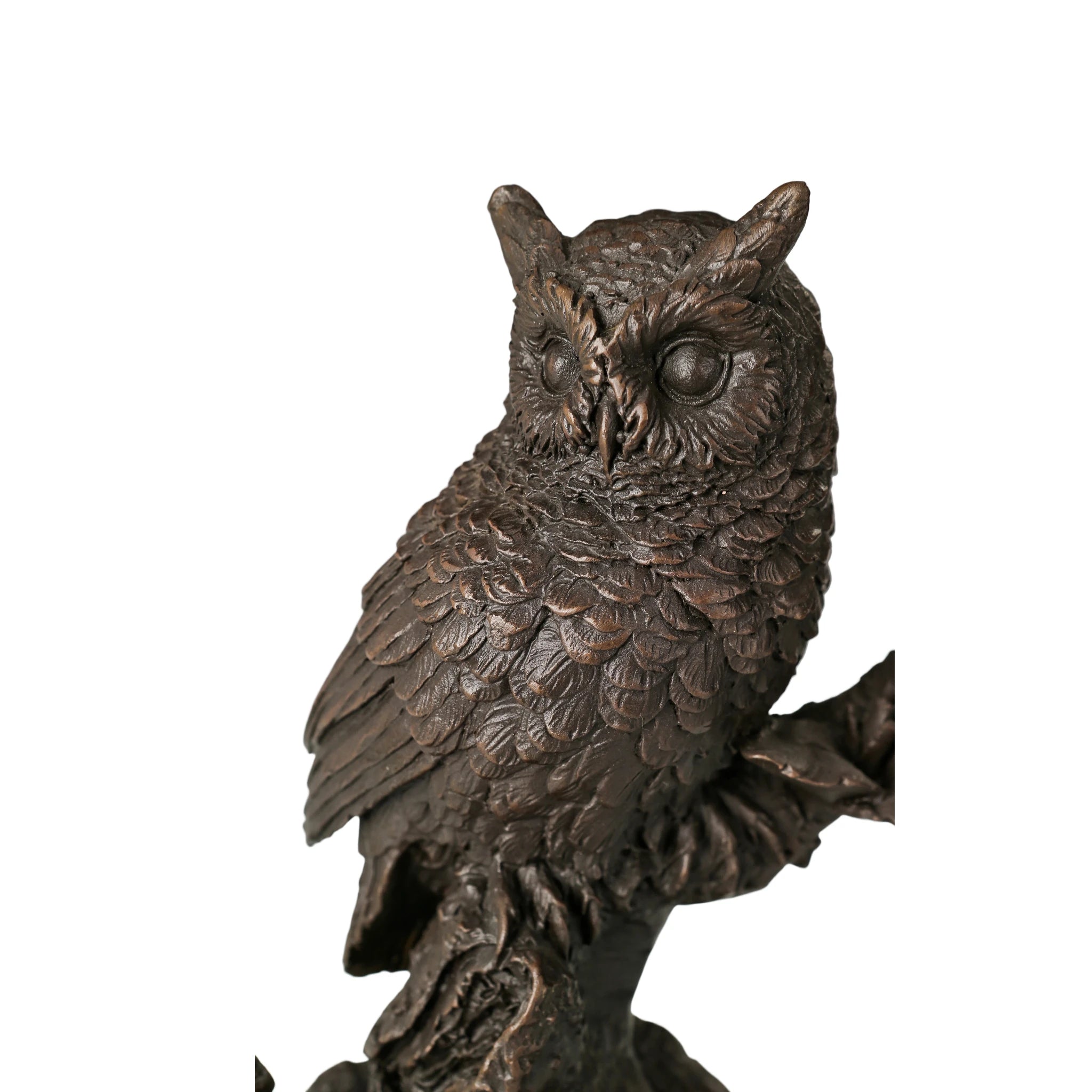 Close-up of bronze owl sculpture showing expressive eyes beak and finely sculpted facial feathers