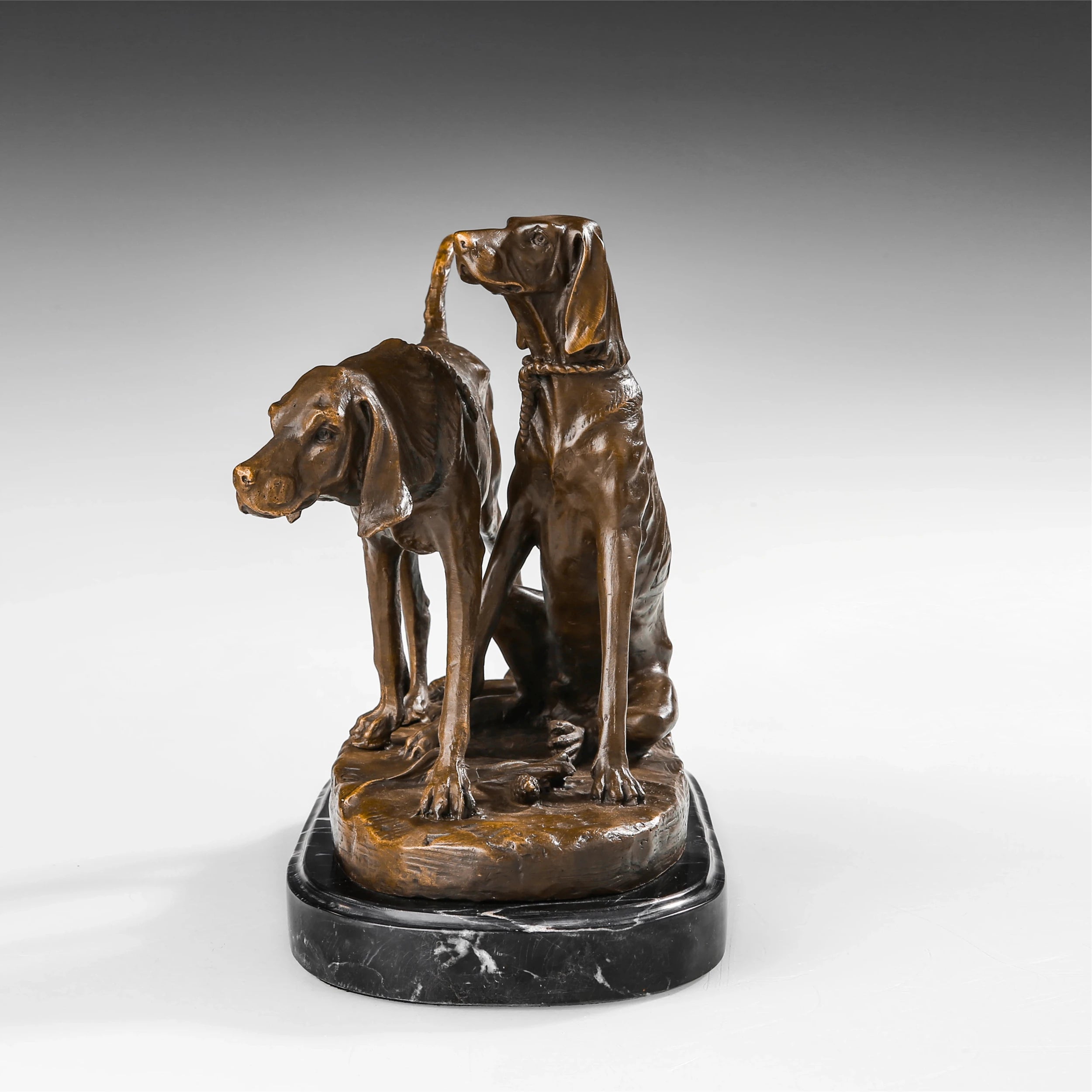 Close-up of two bronze sporting dogs showing expressive faces long ears and alert poses