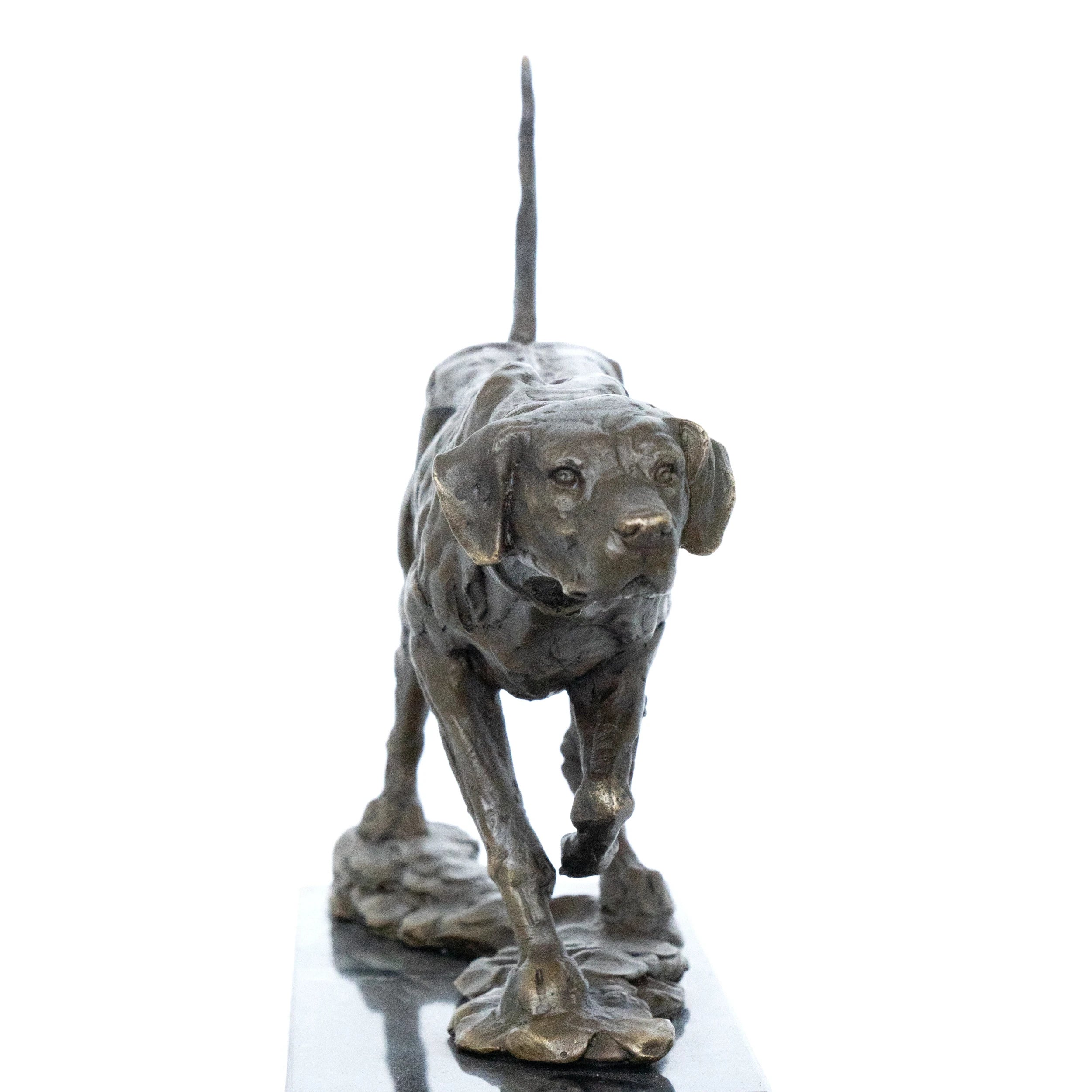 Close-up of bronze pointing hunting dog showing lowered head, detailed collar, and raised tail