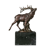 Front view of bugling male elk bronze sculpture with large antlers