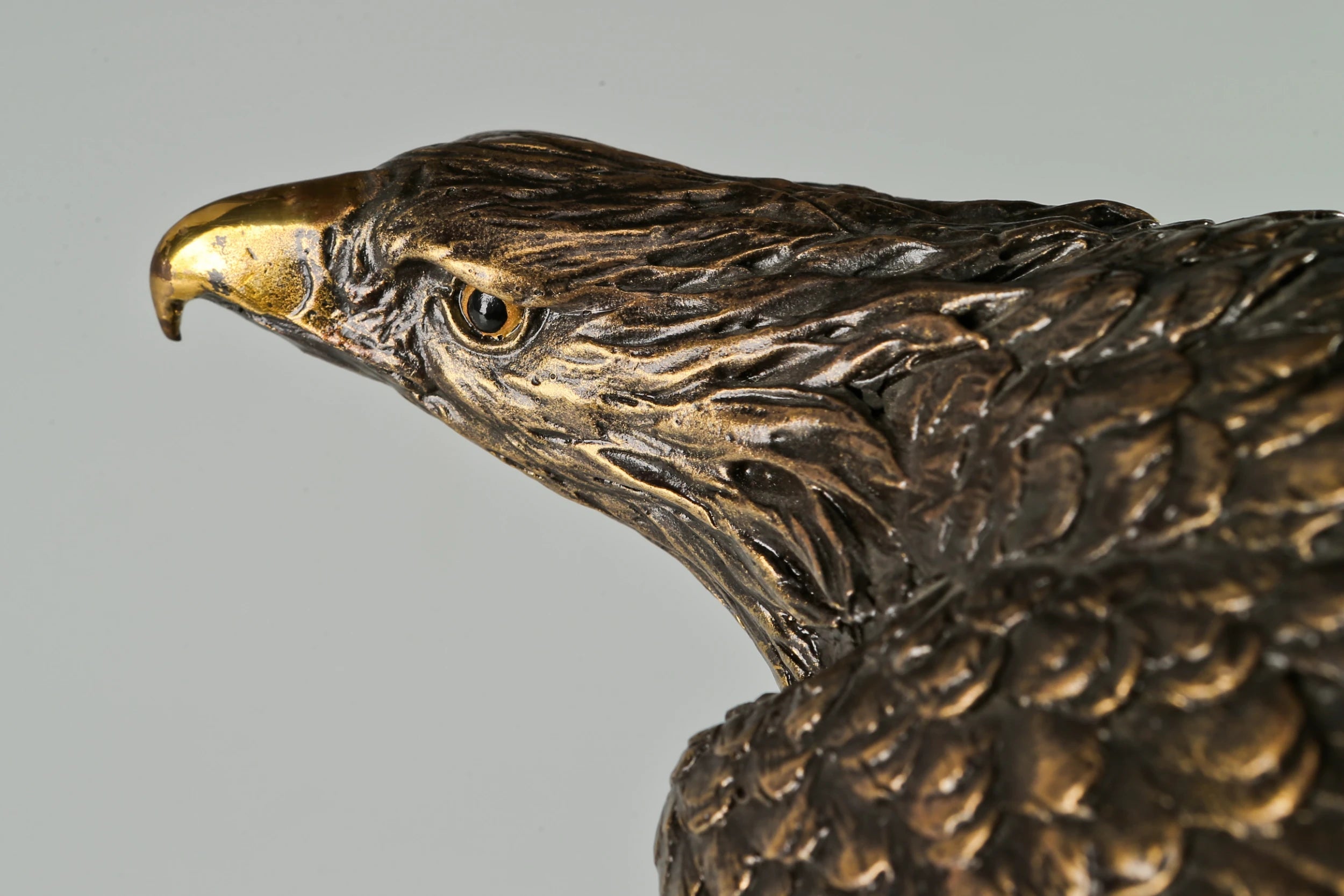 Pre-flight bronze eagle sculpture with detailed feathers and natural base. Elegant wildlife statue for home decor, office, or collectors.