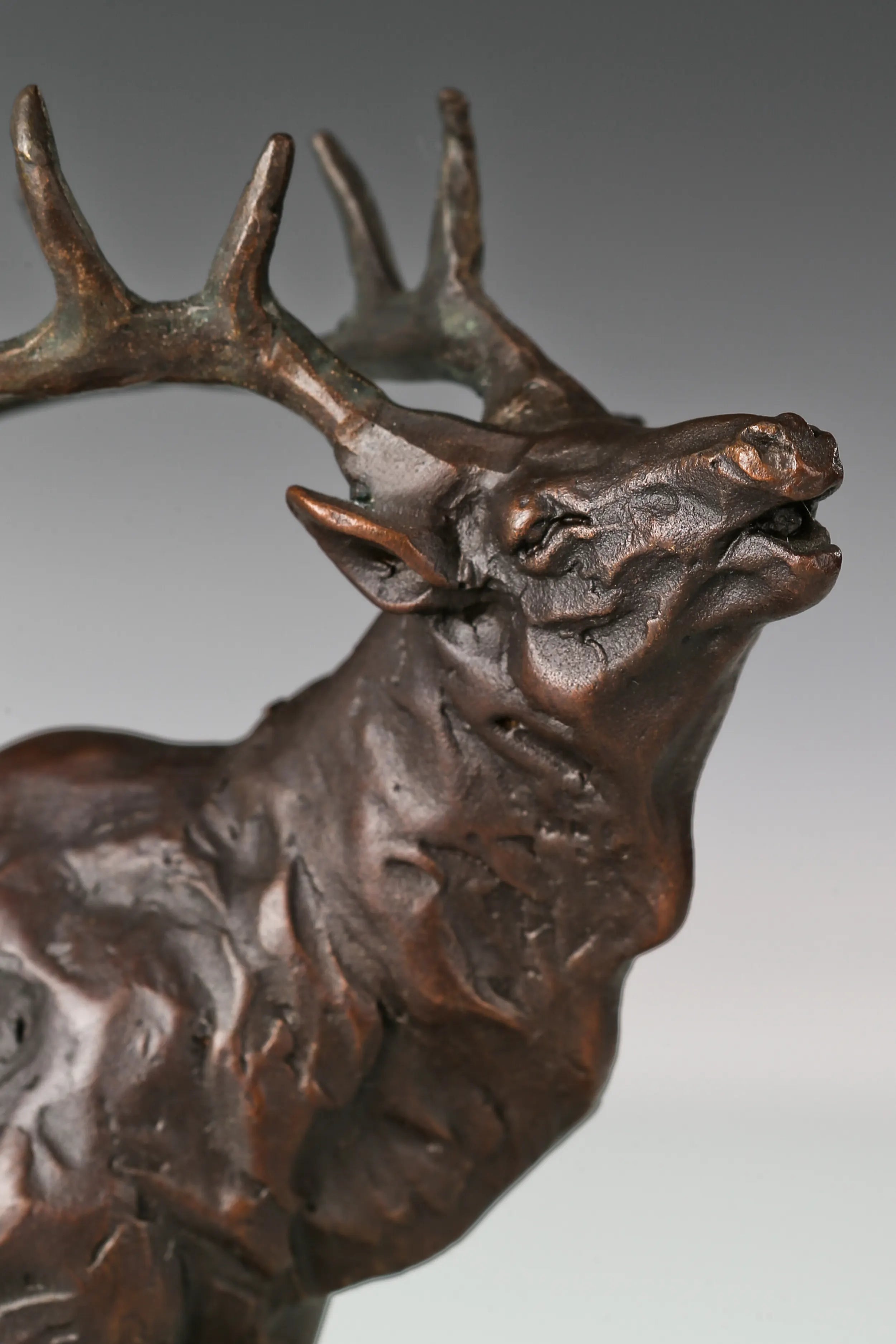 Bugling Elk Bronze Sculpture surface detail