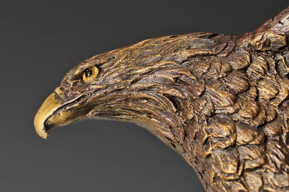 bronze eagle statue detailed feathers