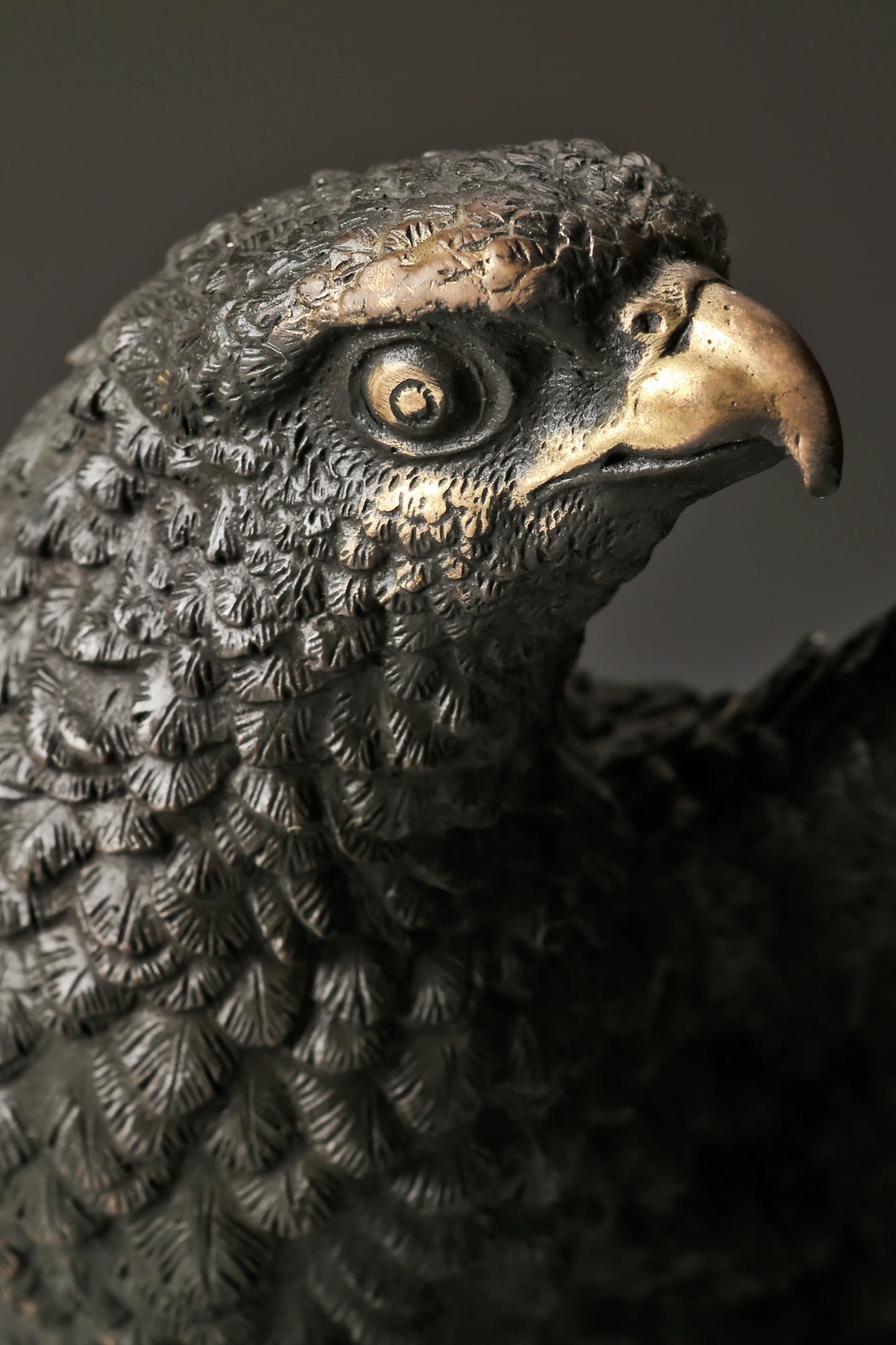 Bronze eagle statue with wings partially spread and decorative base. Classical wildlife sculpture for home decor, office, or collectors.