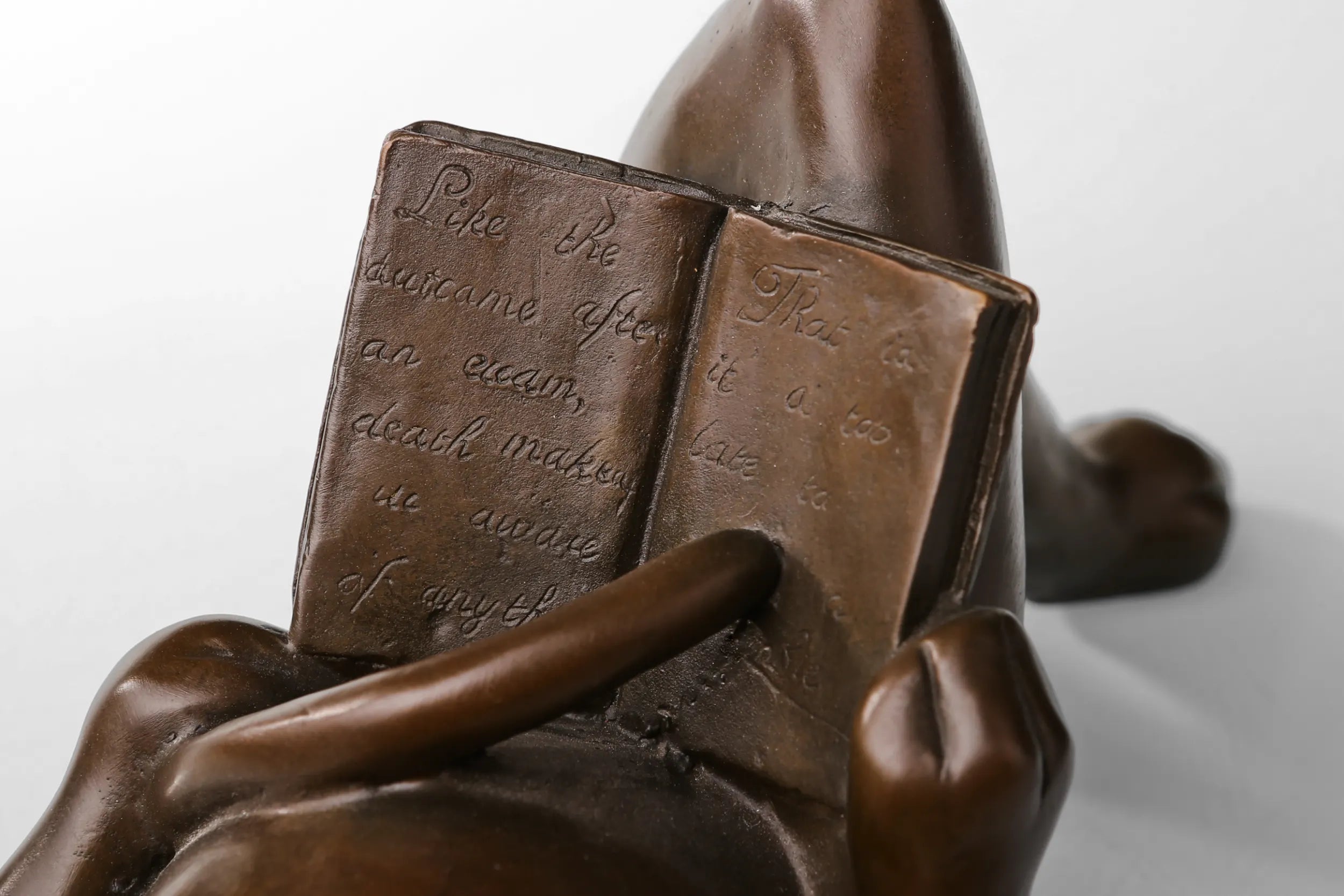 Detail of the book held by the reclining reading cat bronze sculpture